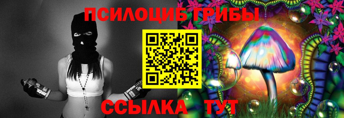 Петрозаводск  Псилоцибиновые грибы мицелий  Вход с VPN 